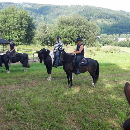 Penzion U Hradilu Vrbno pod Pradědem Екстериор снимка