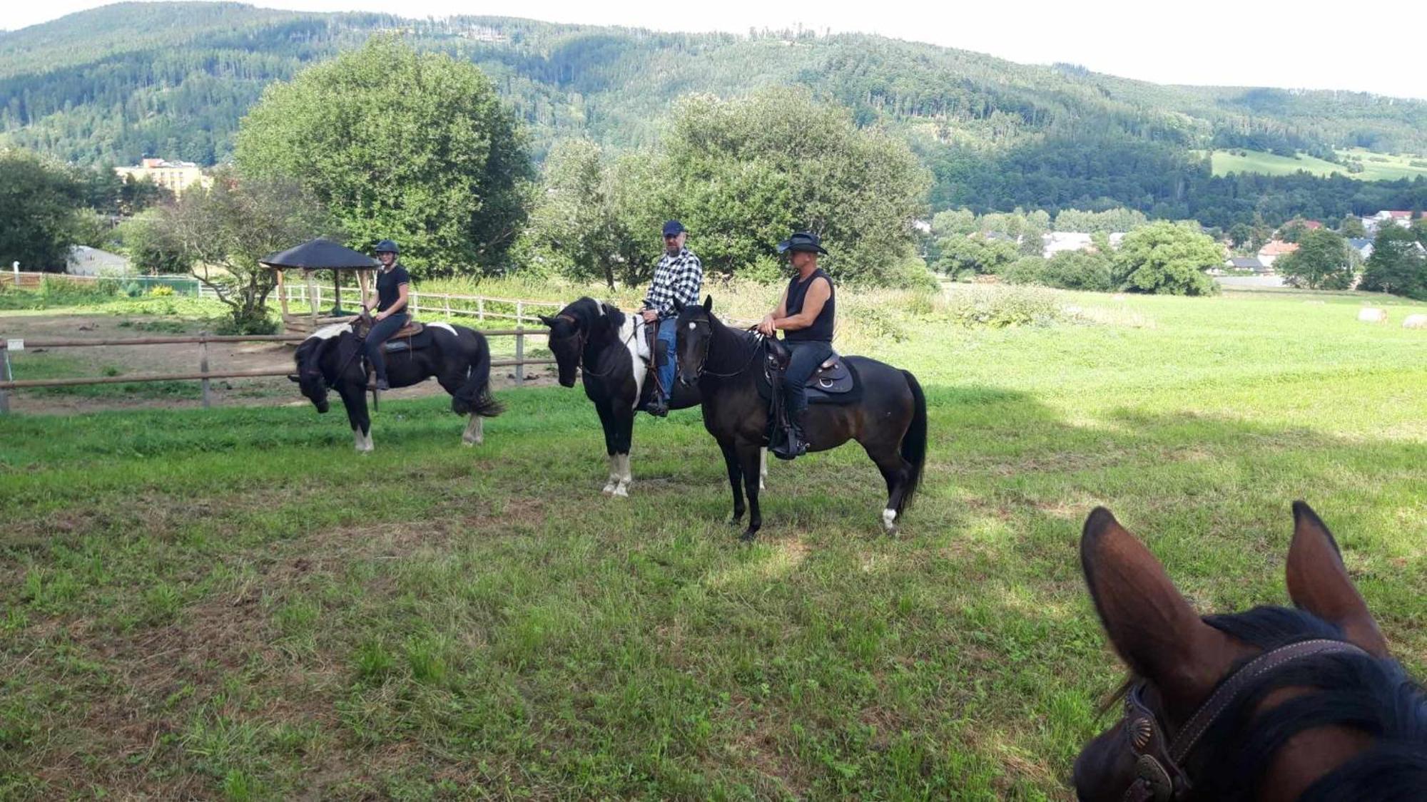 Penzion U Hradilu Vrbno pod Pradědem Екстериор снимка